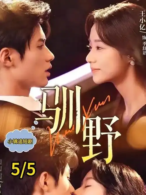 回声谷剧集海报
